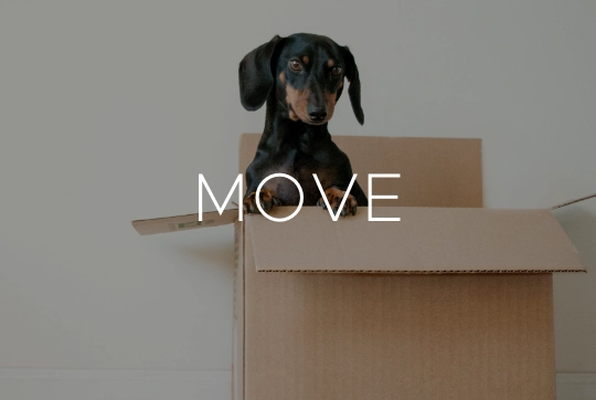 Move