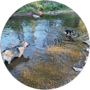 Carl Stubbs profile picture